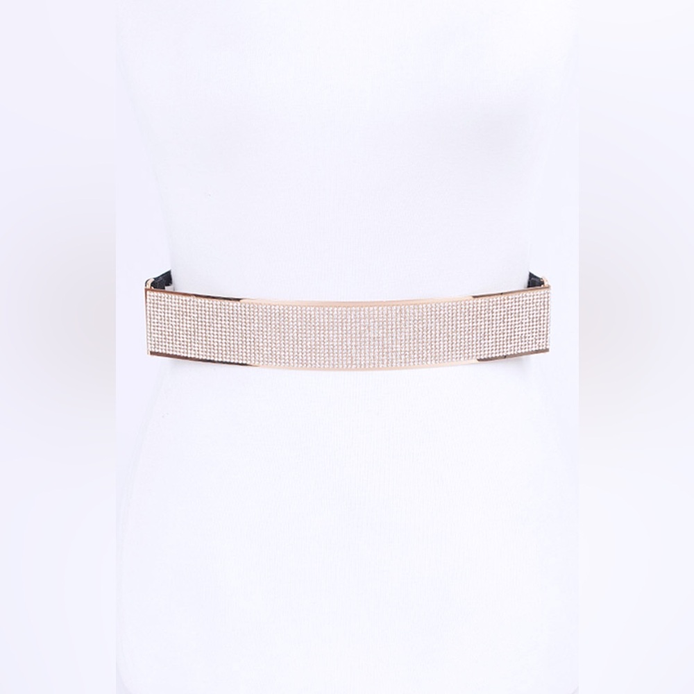 Rhinestone Metallic Plaque Elastic Statement Belt - Picture 7 of 7